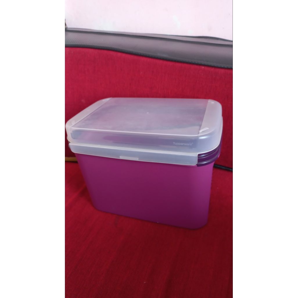 Tupperware Signature Ezy Keeper
