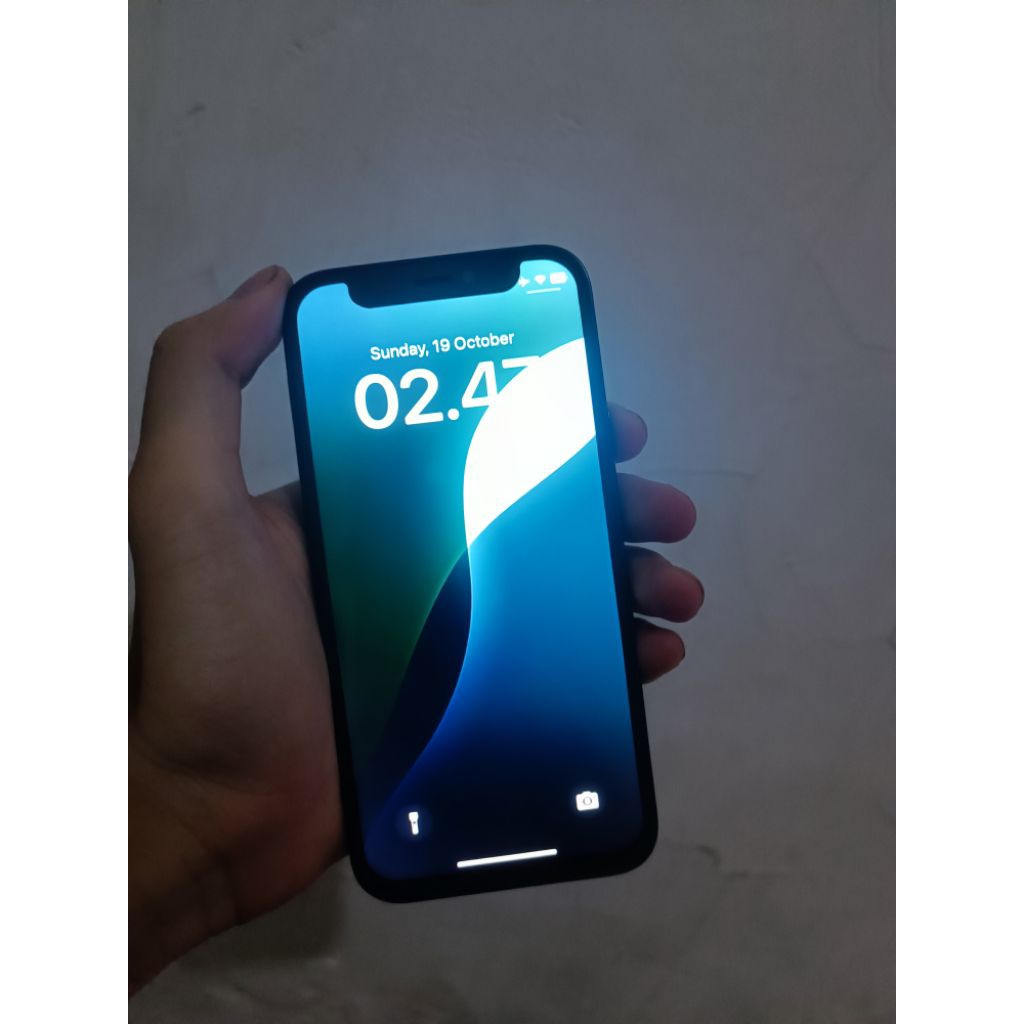 Iphone 12 Mini 256Gb Bypass