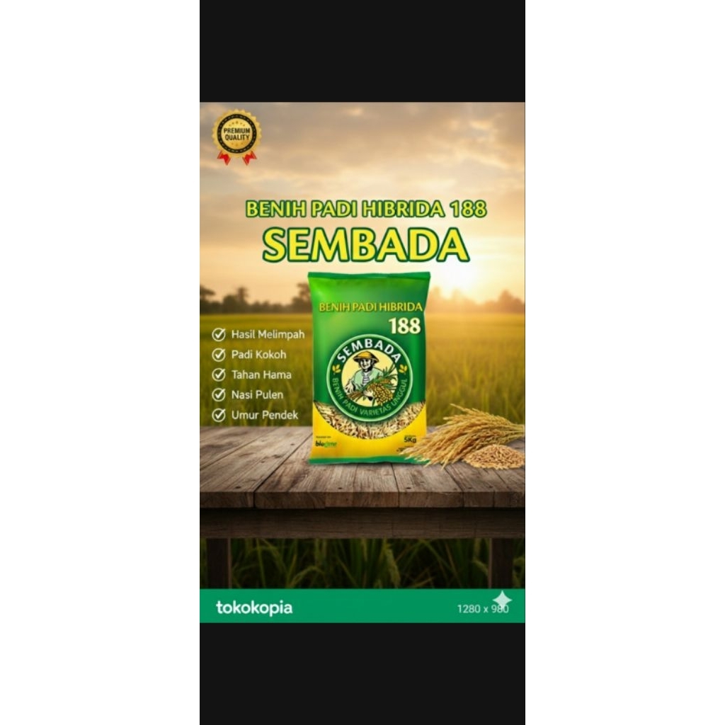 [ 1 KG ]BENIH PADI HIBRIDA 188 SEMBADA - Benih Padi Varietas Unggul