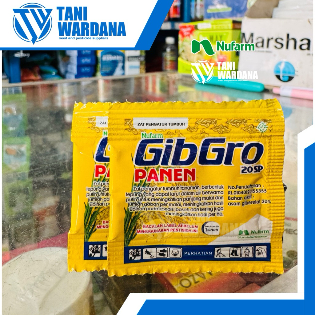 Gibgro Panen 20sp