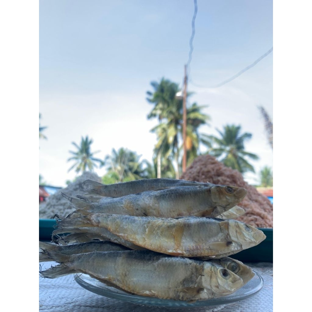 IKAN ASIN TAMBAN