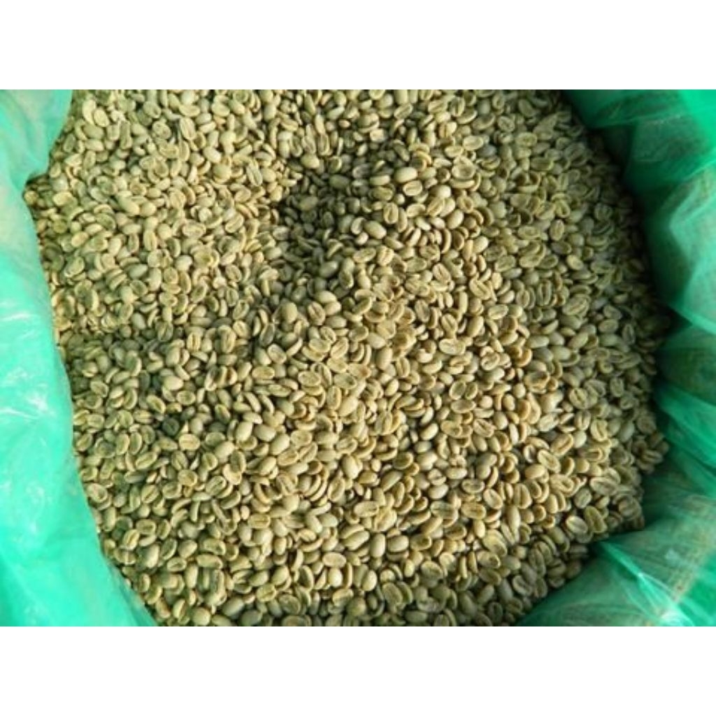 biji benih kopi arabica siap tanam