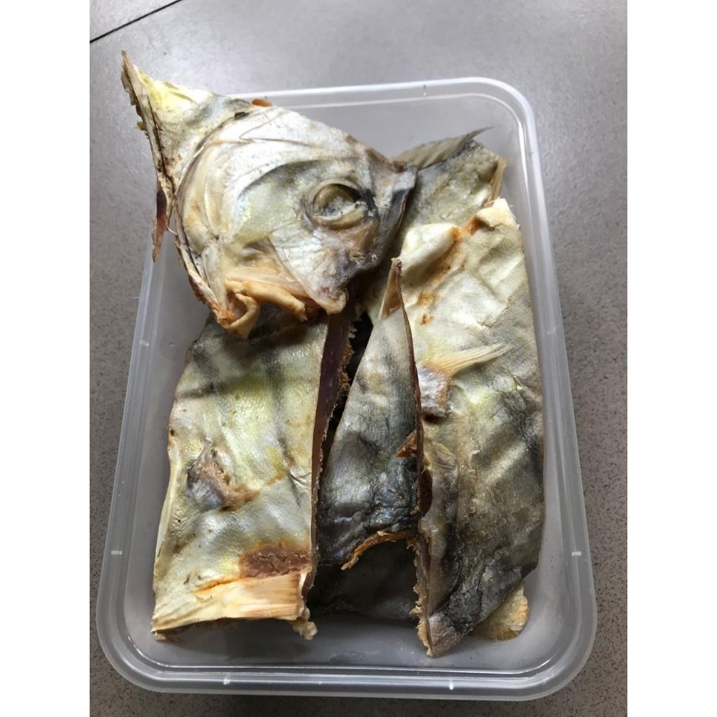 TRAKULU/TONGKOL KUNING tabanio . 1/4kg di kirim manggunakan box