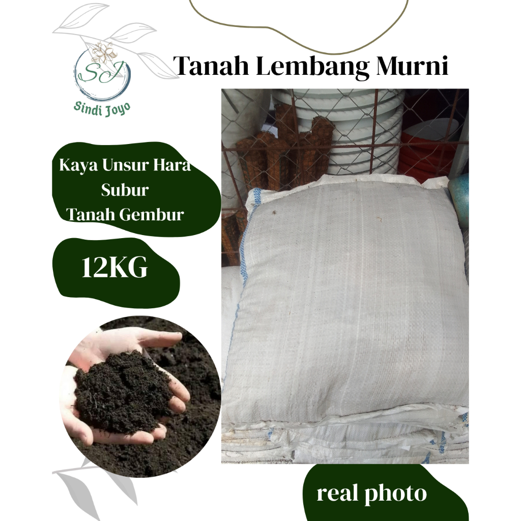 Tanah Lembang Murni Karungan