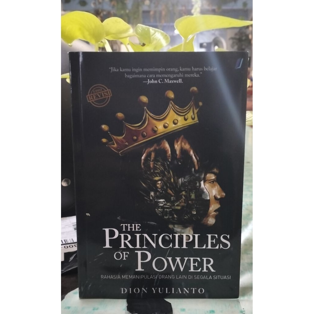 THE PRINCIPLES OF POWER