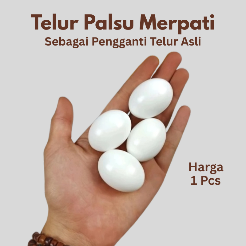 Telur Palsu Merpati Replika Sebagai Pengganti Telor Asli Untuk Mengeram