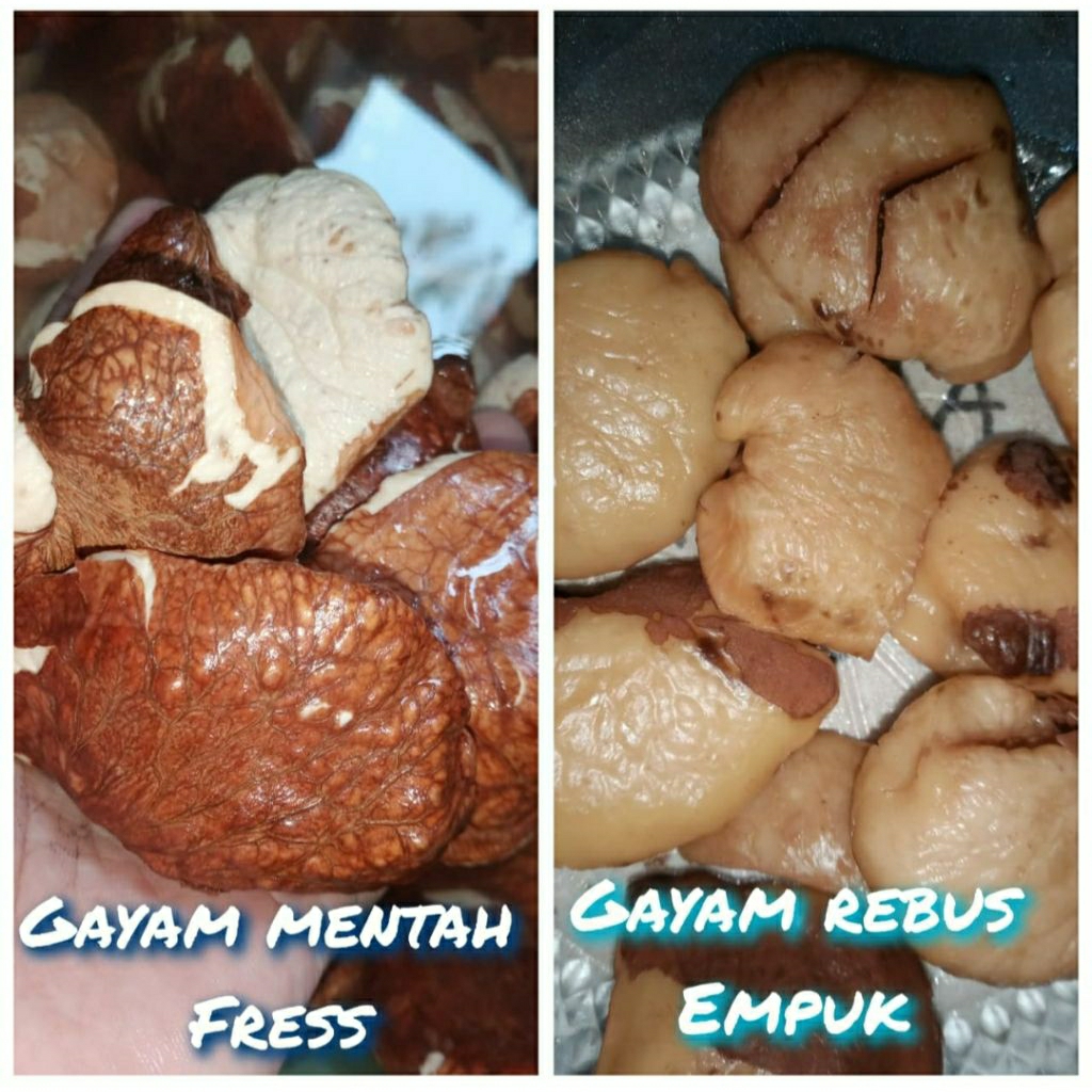 gayam mentah 1 kg jenis gayam ketan