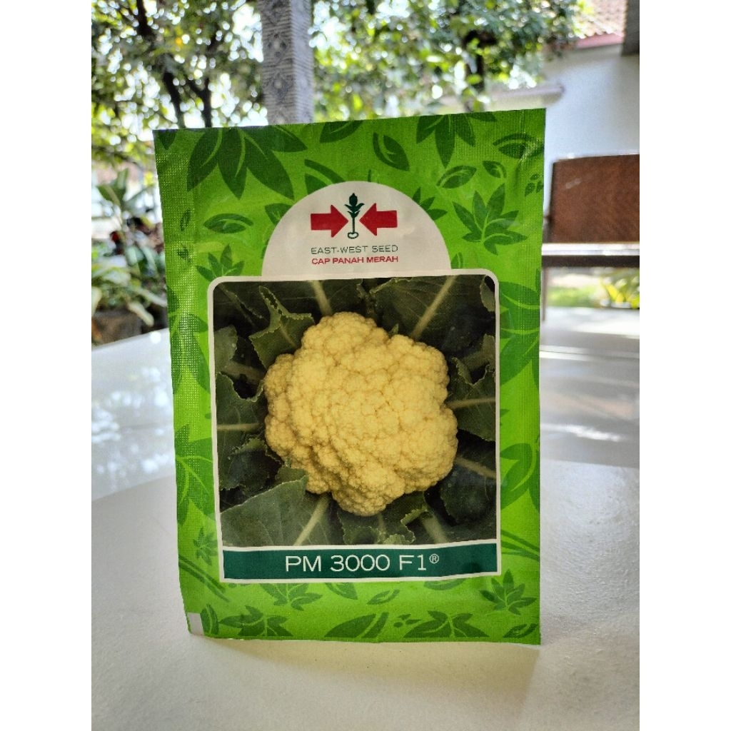 benih bunga kol PM 3000 F1 10 gram
