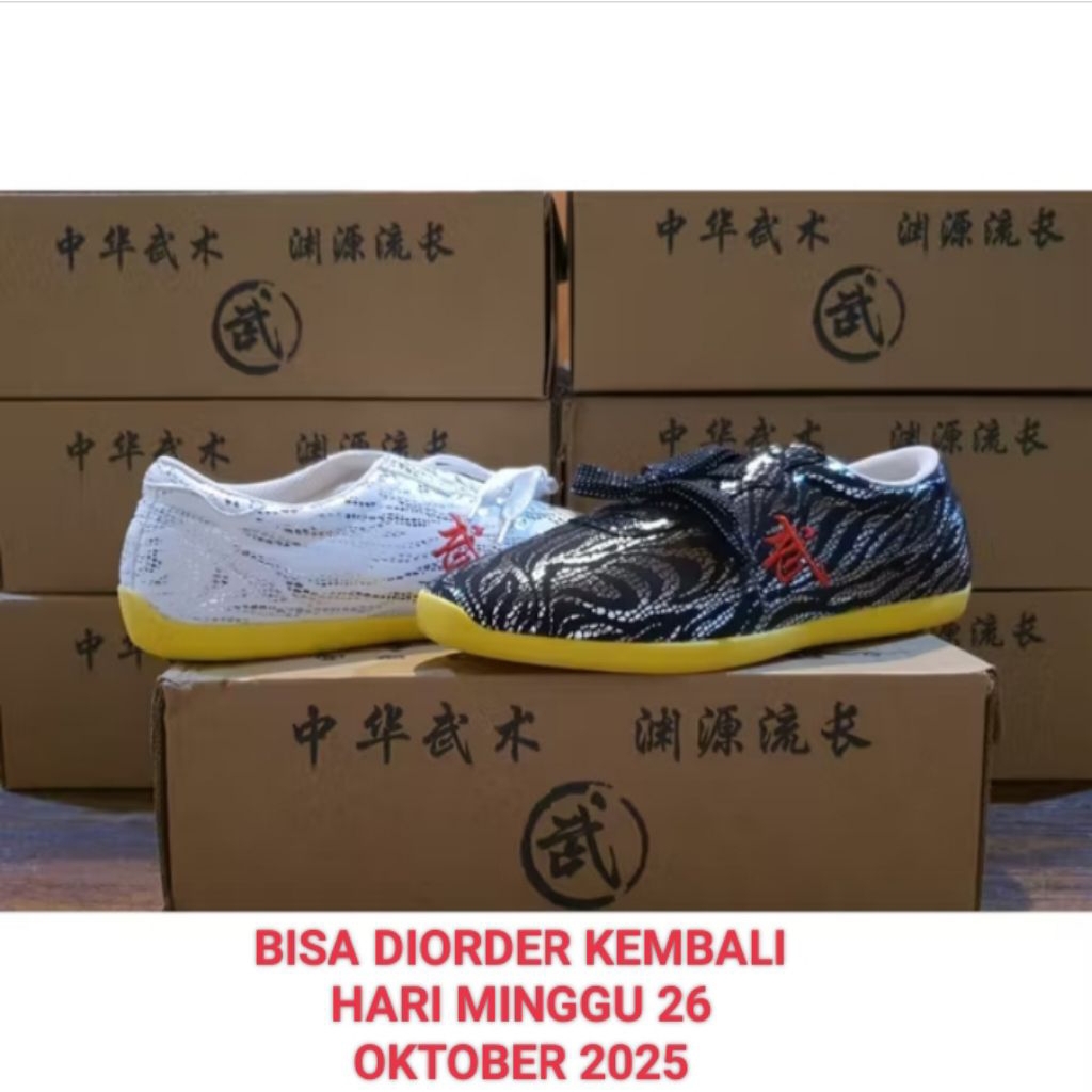 TERMURAH  Sepatu Wushu Budosa, Sepatu kungfu / Sepatu Tai Chi / Sepatu Olahraga