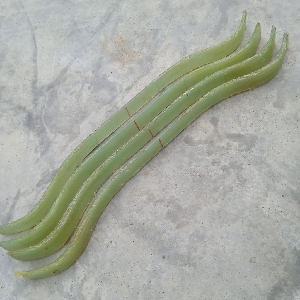 Busur Bending Pendek Mentahan untuk CB