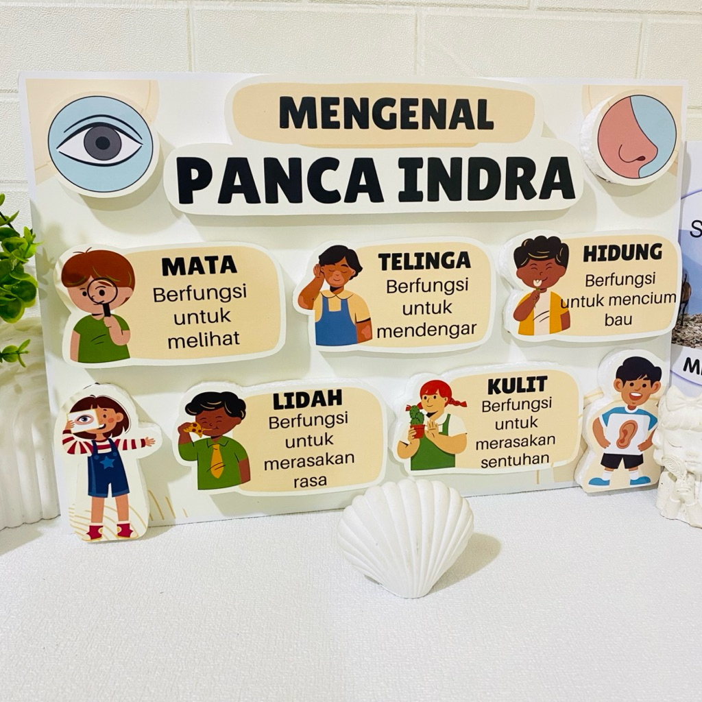 POPUP 3D popup 3d panca indra poster edukasi 3d panca indra ukuran besar hiasan kelas hiasan dinding