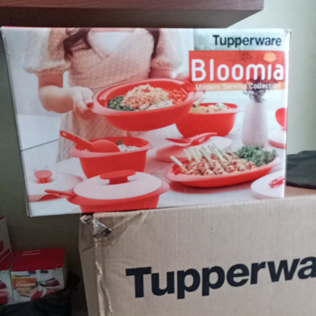TUPPERWARE SET BLOSSOM BLOMIA SET