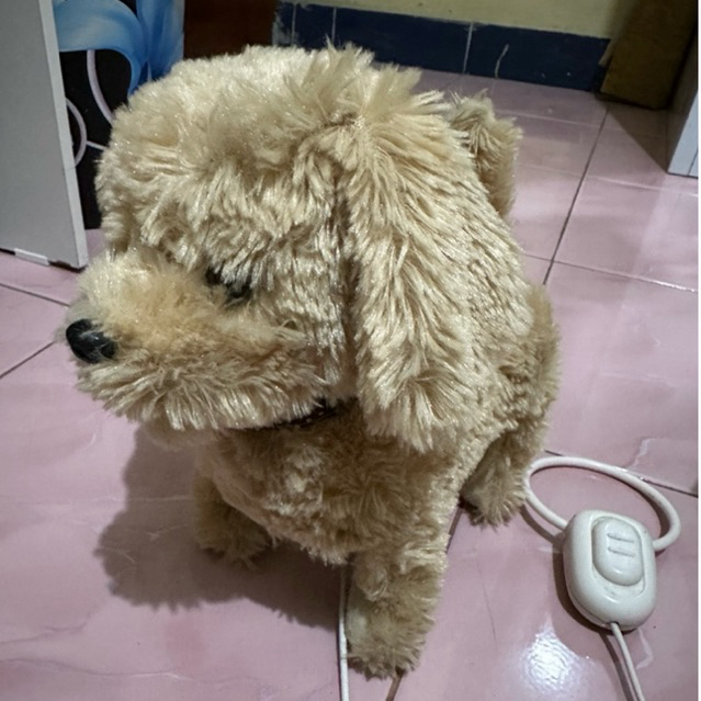 boneka guguk minus elektrik