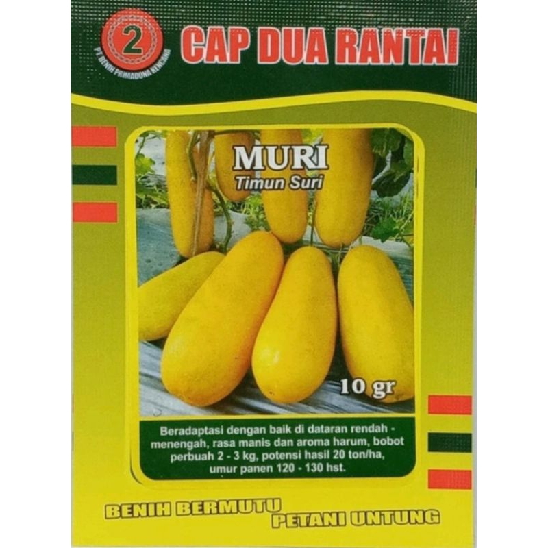 Benih Uggul Timun Suri MURI Isi 10 Grm Bibit Timun Suri / Benih Timun Suri