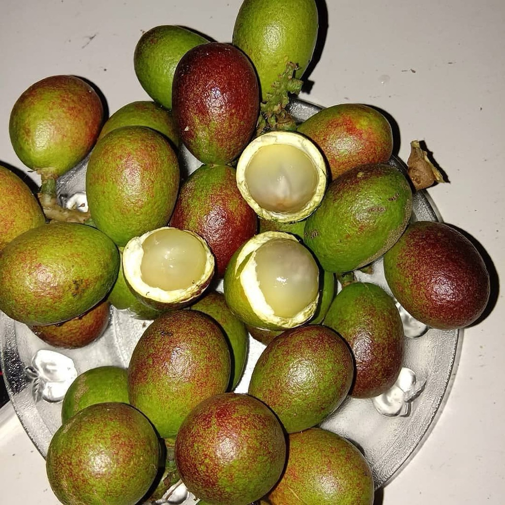 Buah Segar Premium Matoa/Mangga/Jambu Kristal/Buah Naga/dll