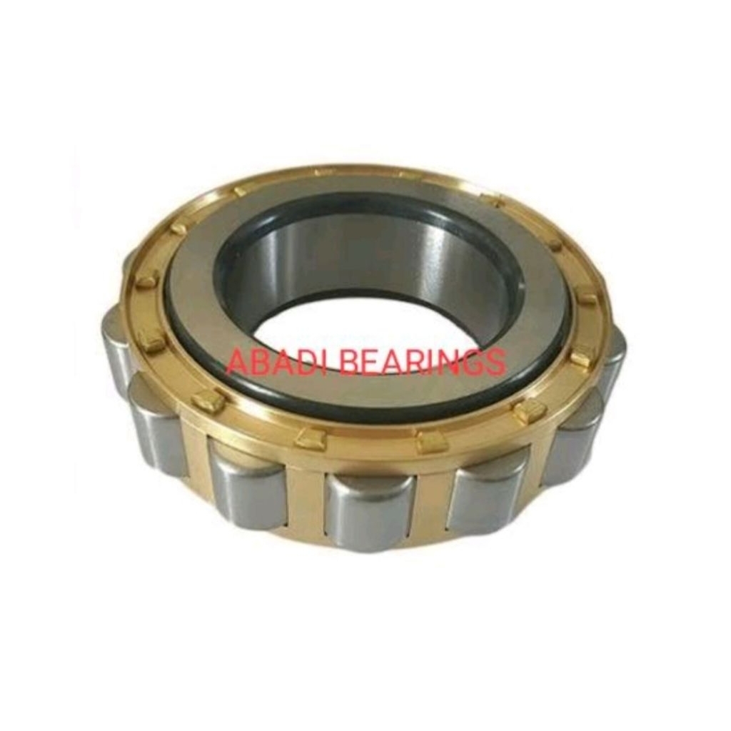 BEARING LAHAR RN 309 M / RN 309M / RN309M NIS