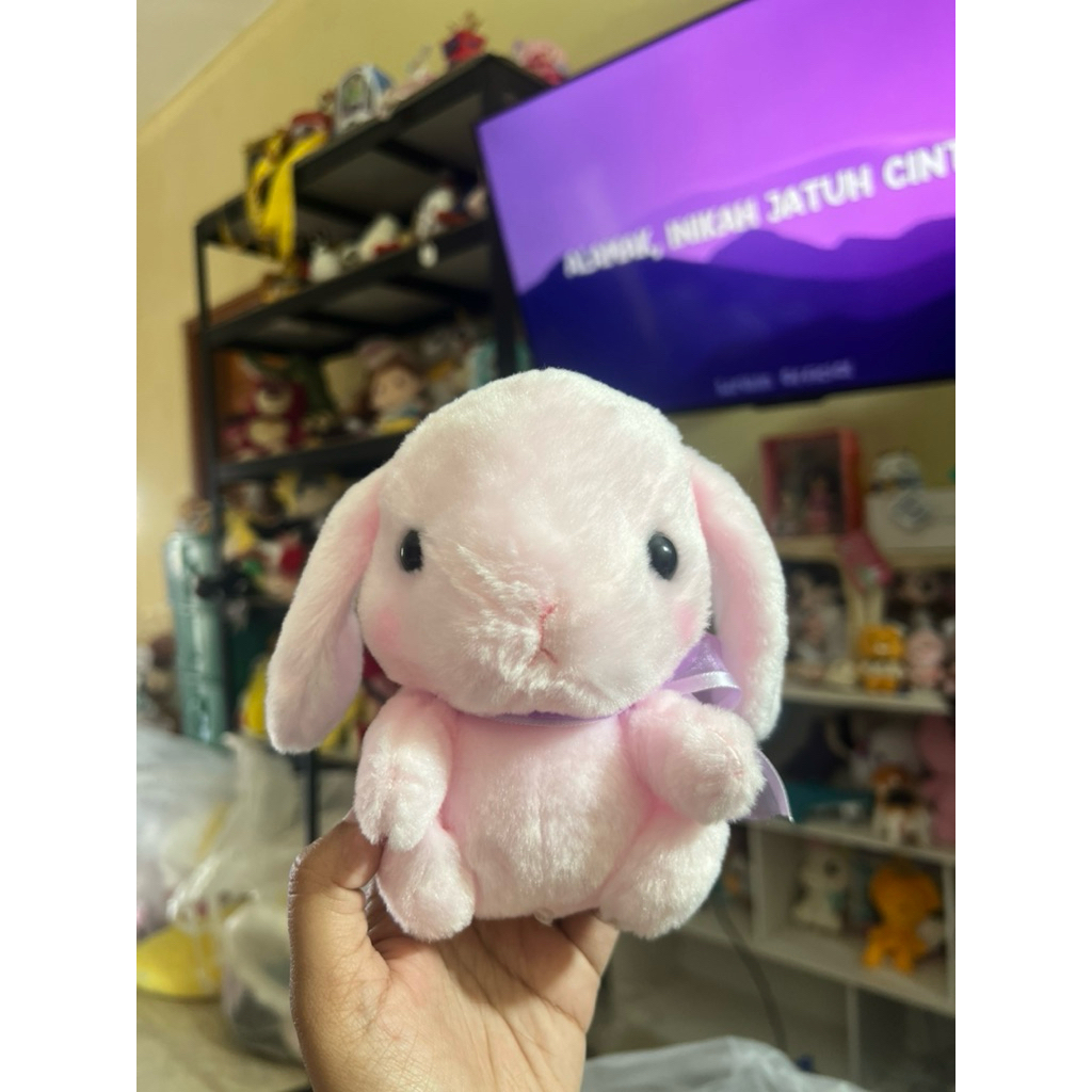 boneka pote usa loopy