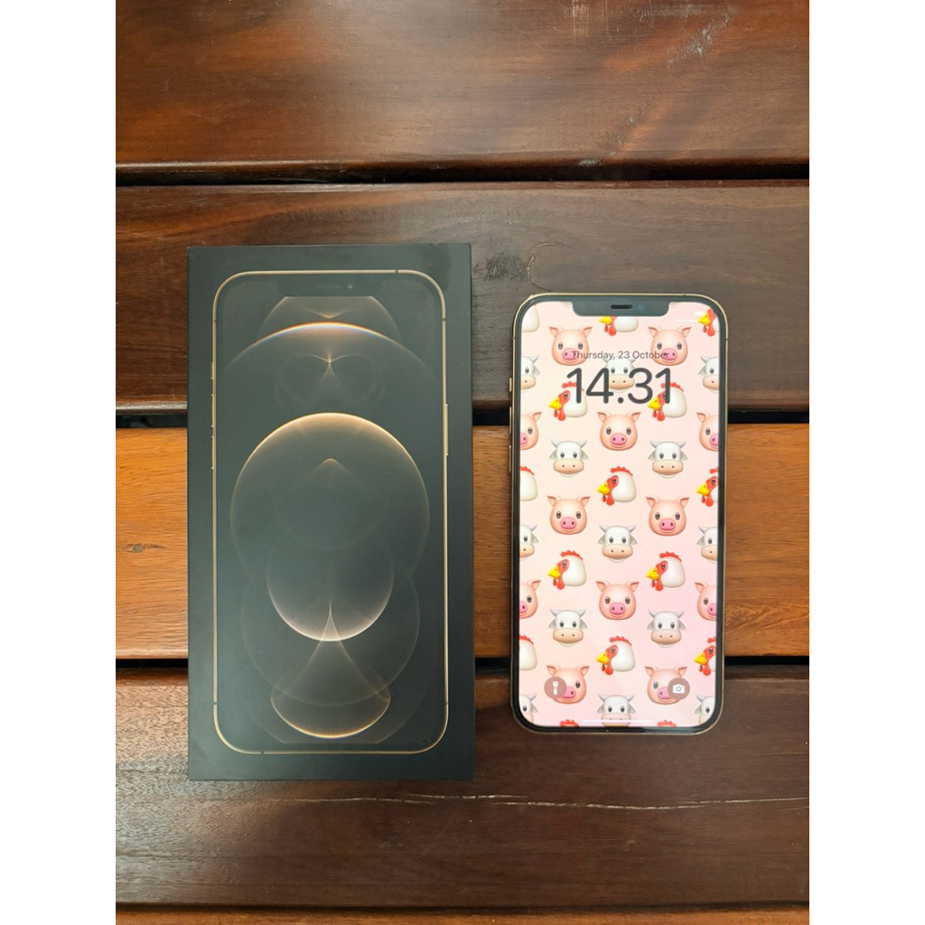 Apple Iphone 12 Pro Max Grey 256GB ibox Second Preloved Original