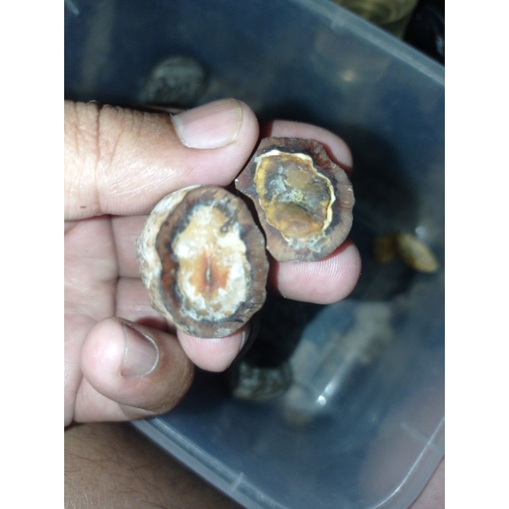 gantungan kunci kemiri adu jayanti anak milenial