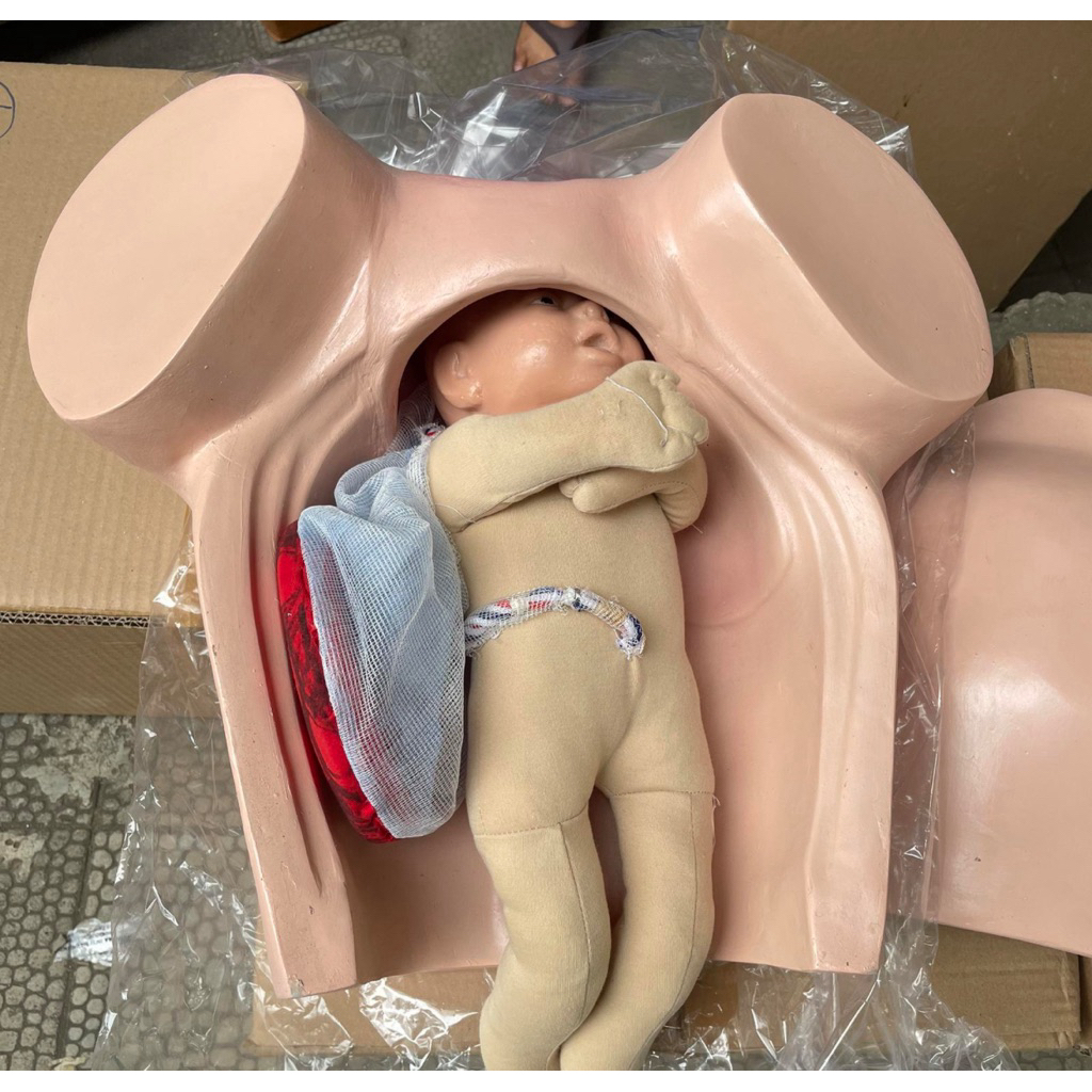 Phantom Melahirkan Fiber/phantom melahirkan fiber manekin
