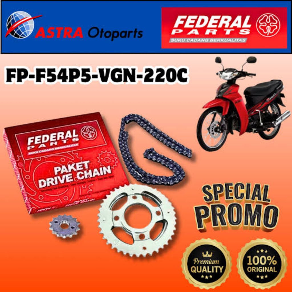 Gir Set Gear Set FEDERAL PARTS FP-F54P5-VGN-220C VEGA R NEW