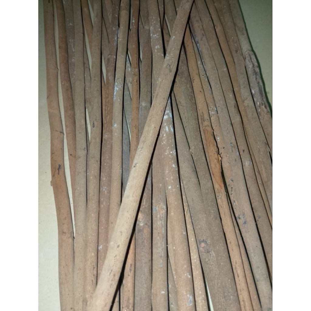 TANGKRINGAN ASEM BALI MUDA/ALUSAN SUPER MURAI KACER KENARI CIBLEK KOLIBRI JALAK PENTET