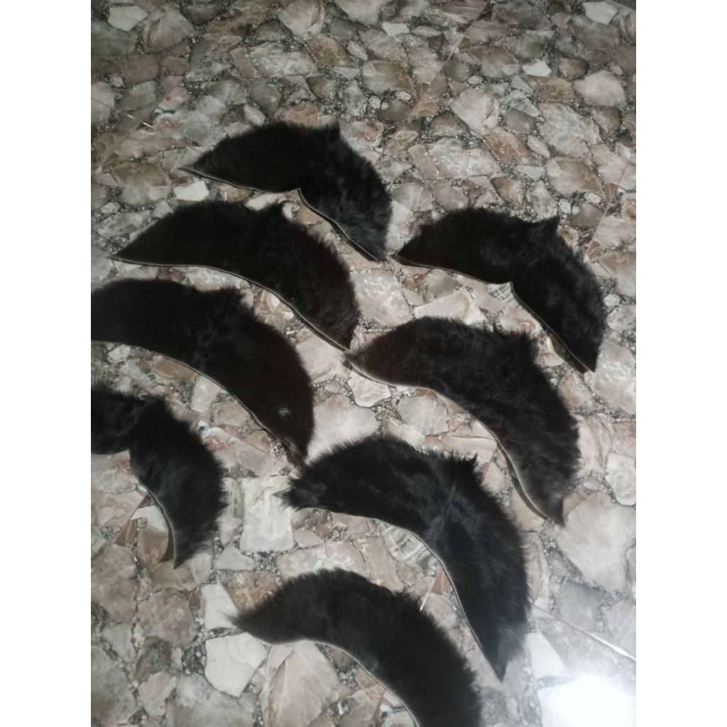 simbar barongan dan kucingan