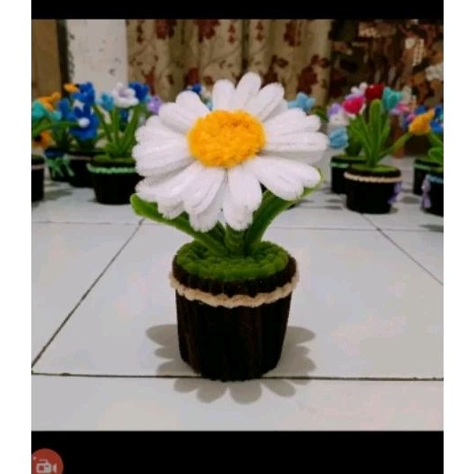 BUNGA KAWAT BULU/BUNGA KAWAT