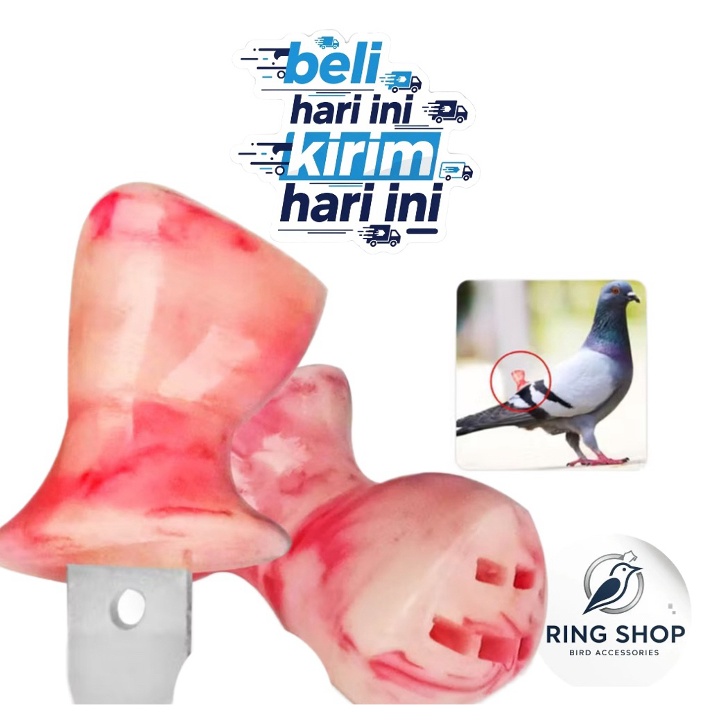 SAWANGAN HATONG MERPATI MODEL KASBUN LUBANG 5