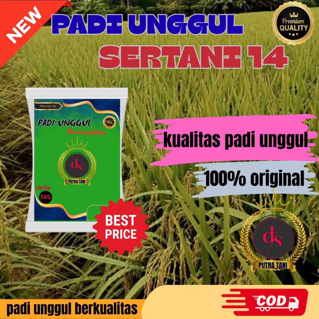 BIBIT PADI UNGGUL SERTANI 14 KEMASAN 1 KG