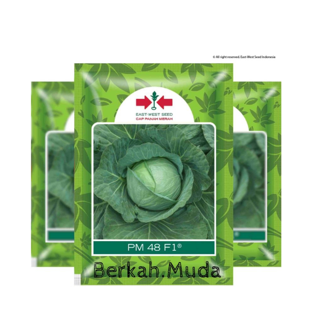 Benih Panah Merah Kubis Pm 48 F1 Berat 15 Gram