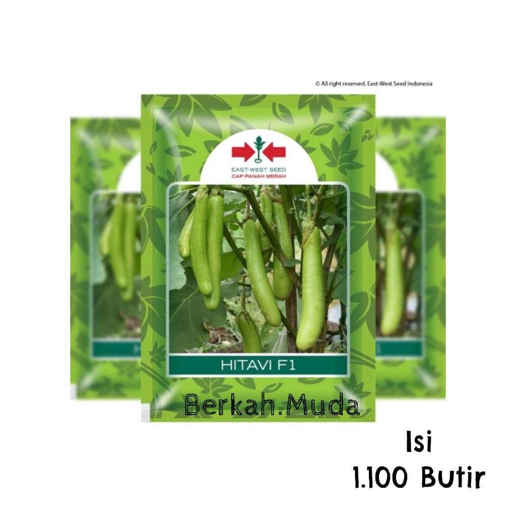 Benih Panah Merah Terong Hijau Hitavi Isi 1.100 Butir