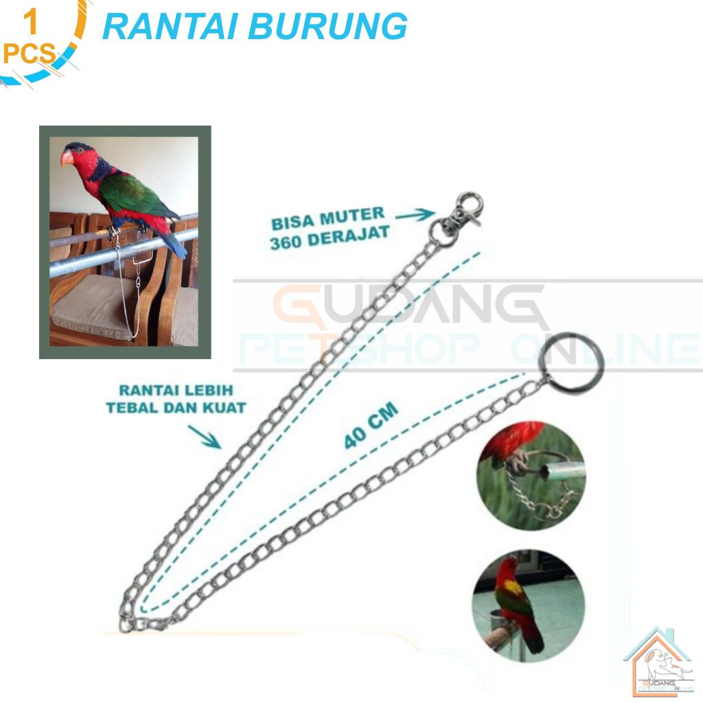 RANTAI BURUNG TALI BURUNG FREE FLY FF RANTAI LOVEBIRD RANTAI BESI RING LOVEBIRD IKAT KAKI UMBARAN TR