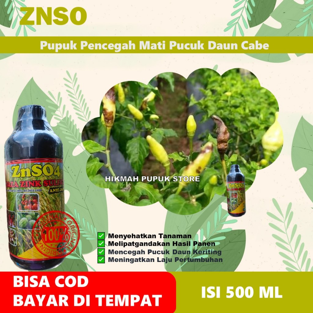 Obat Tanaman Cabe ZNSO4 GAZA 500ML | Pupuk Cair Pencegah Mati Pucuk & Busuk Akar | Daun Lebih Sehat,