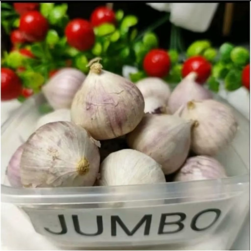 Bawang lanang tunggal jumbo 1kg