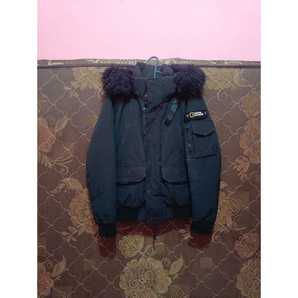 co link kecil, bulang natgeo bulu angsa national geographic