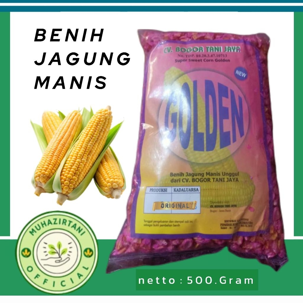 Benih Jagung Manis unggul GOLDEN isi 500.gram benih jagung super