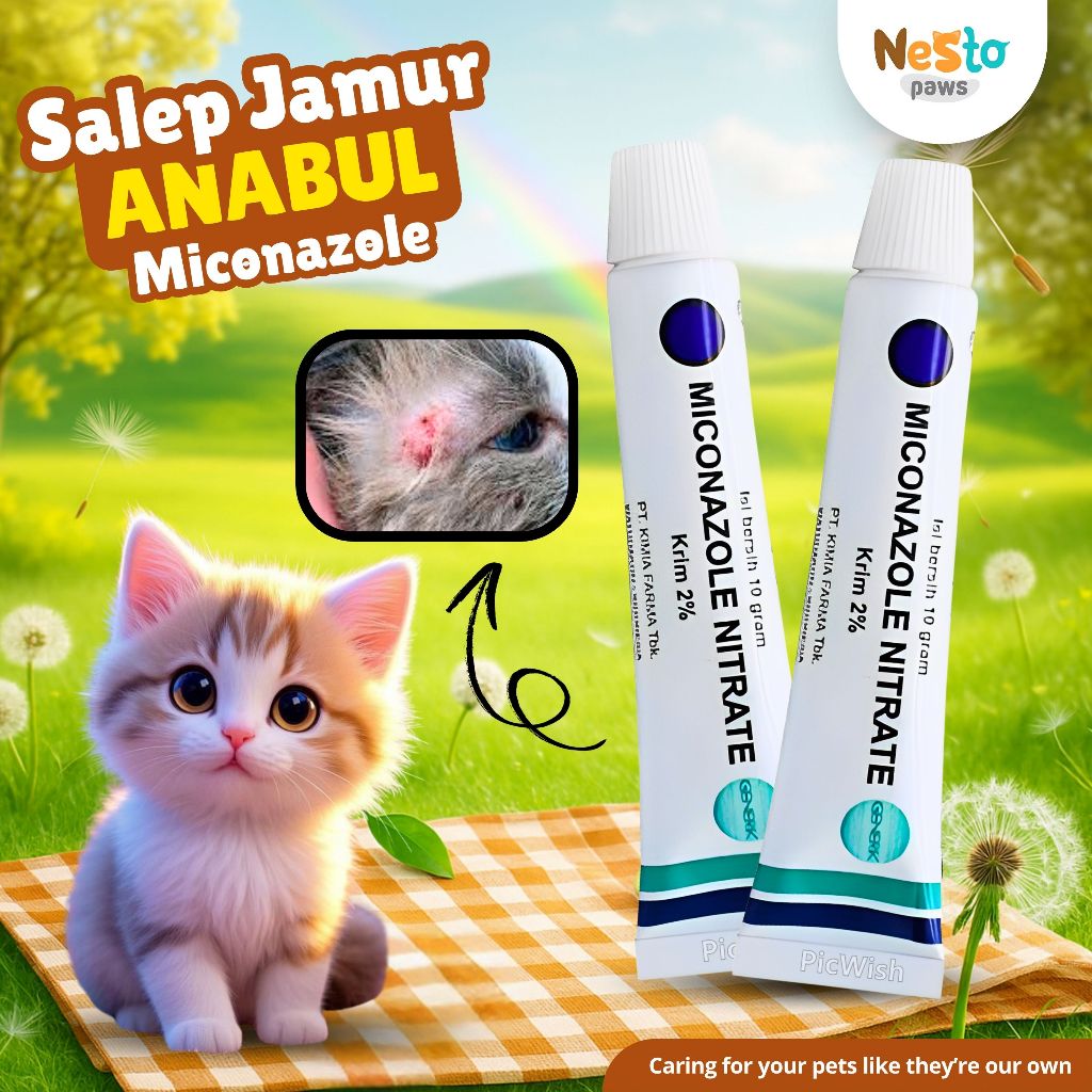 Salep Jamur Kucing Miconazole Obat Kudis Scabies Ampuh Aman Efektif Bisa Untuk Hewan Dan Manusia