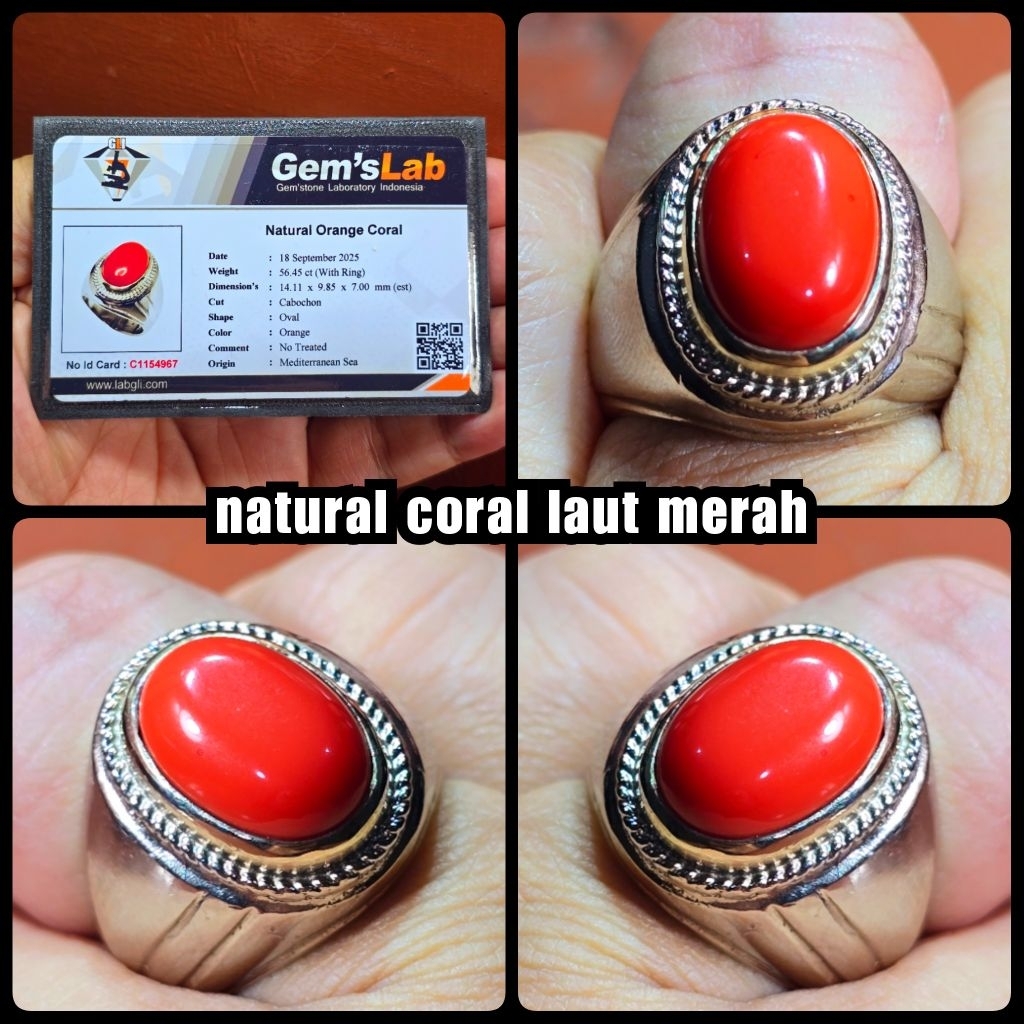 natural batu marjan coral asli laut merah HQ