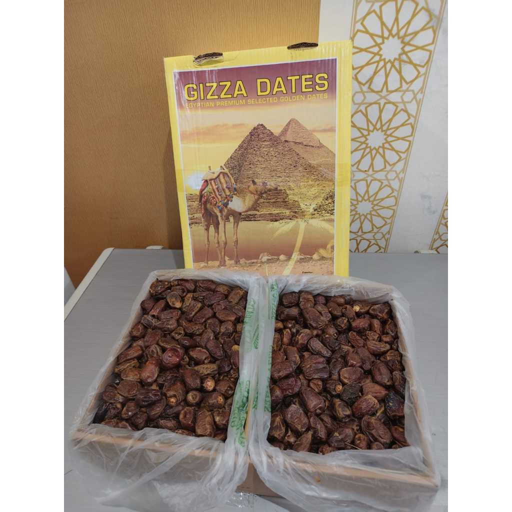 Kurma Mesir 10 Kg Gizza Dates Egyptian Premium Selected Golden Dates