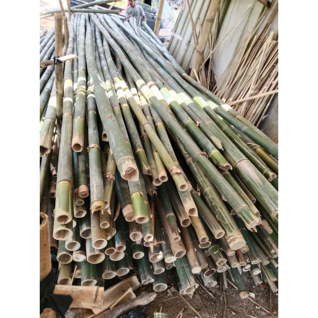 Bilah bambu panjang 1m-1.5m ajir tanaman