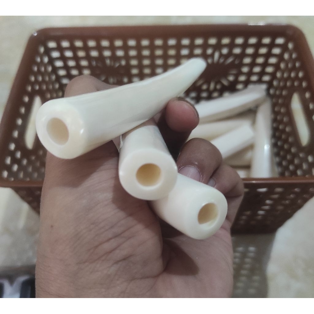 once pipa tulang iga import natural bulat tebal jumbo 10 - 11 cm berkualitas mirip gading