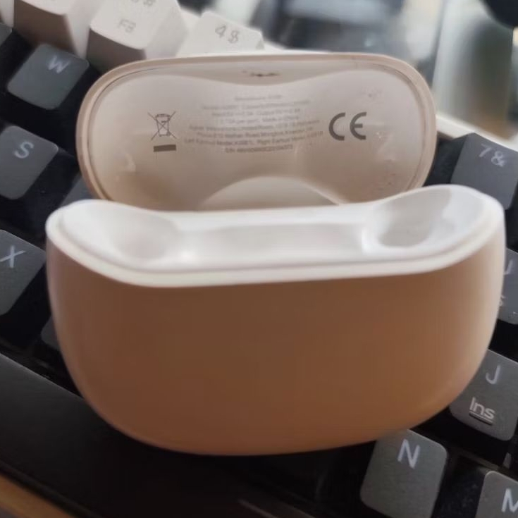 Charging Case Soundcore R100