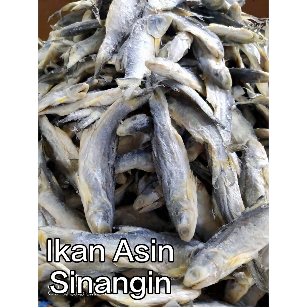 Ikan Asin Sinangin