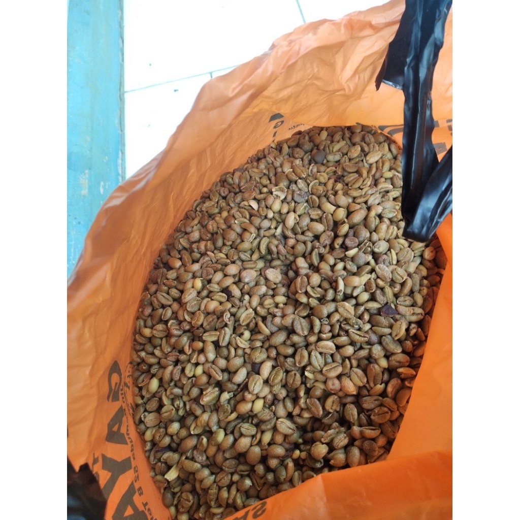 KOPI LIBERIKA / KOPI NANGKA