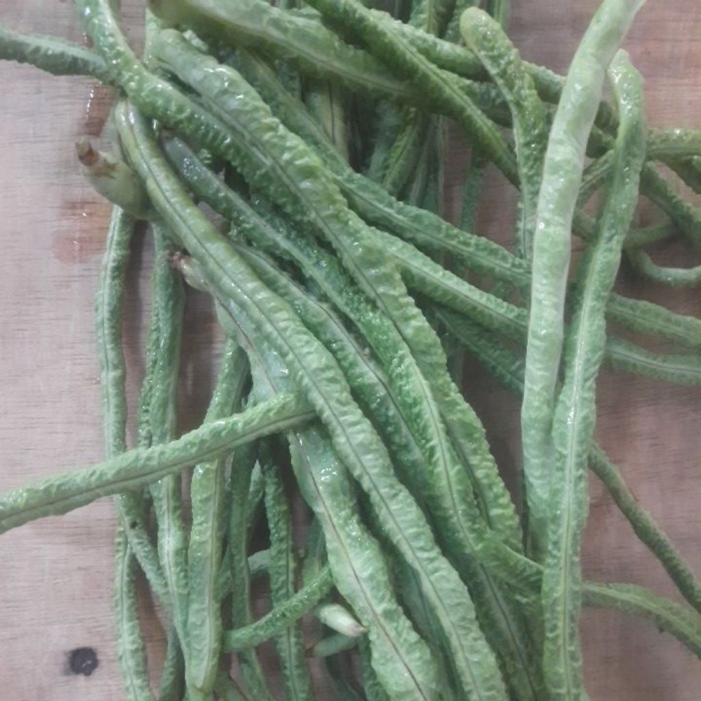 kacang panjang kalimantan