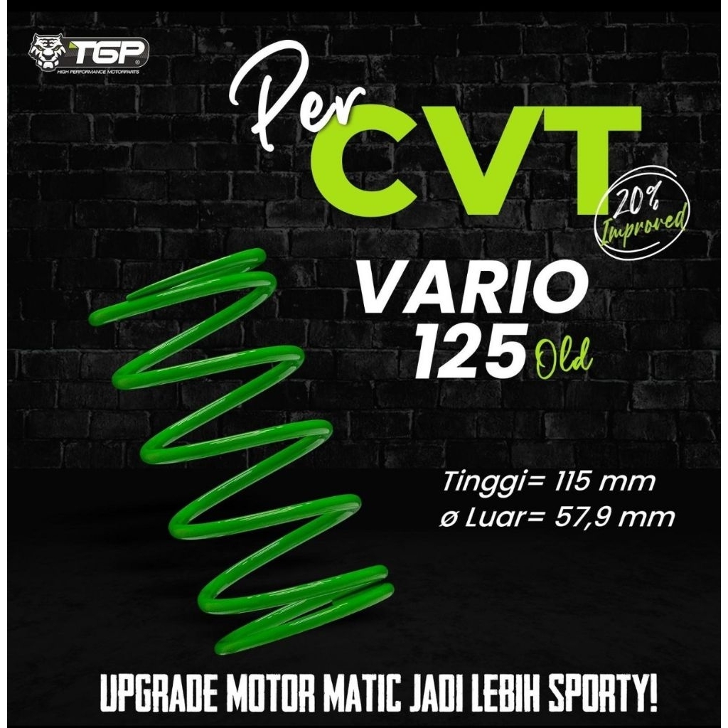 Per CVT TGP Vario 125 old