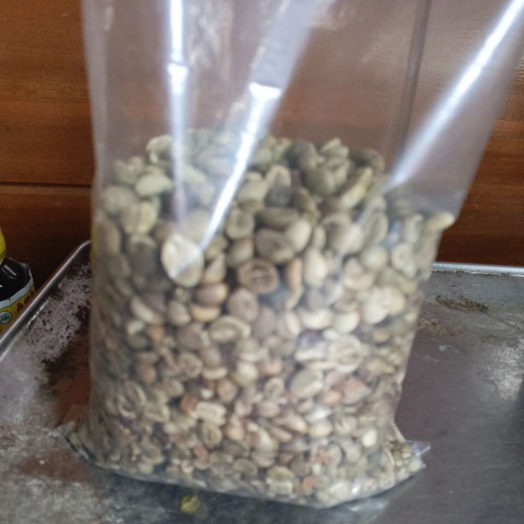 kopi robusta mentah pule