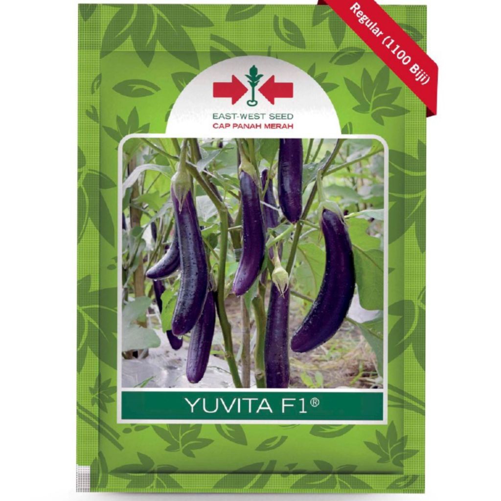 Benih Terong YUVITA F1