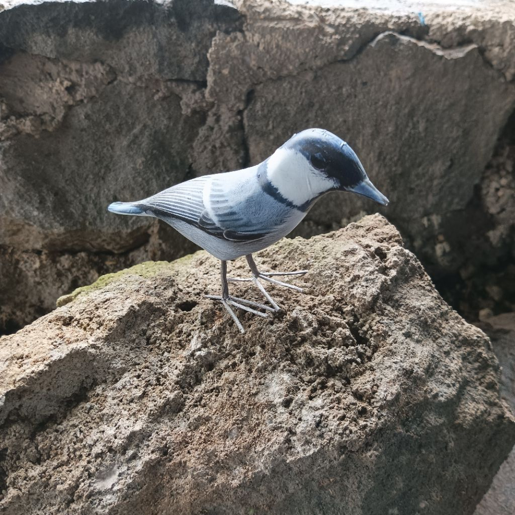 Jontrot Pikat Burung Gelatik Batu  / Jontrot Pikat Burung Gelatik Mirip Aslinya
